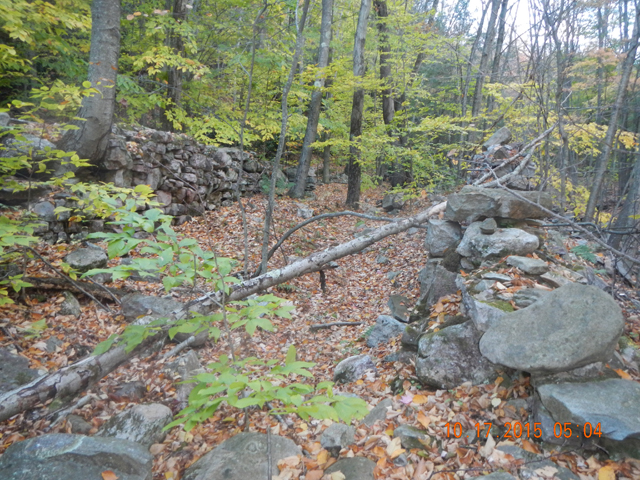 DSCN1573.jpg -                                