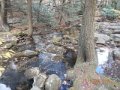 DSCN0716