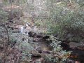 DSCN0718