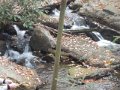 DSCN0721