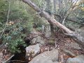 DSCN0730