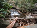 DSCN1561