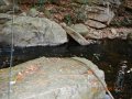 DSCN1571