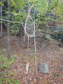 DSCN1574