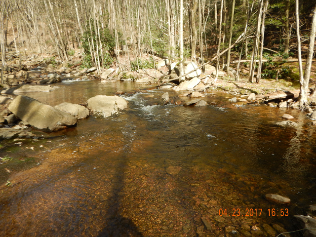 DSCN1918.jpg -         And this is where he lived.  And he is still there!!                       