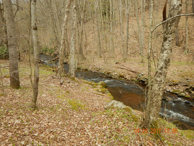 DSCN1933.jpg - Finally at Leslie Run.  Looks inviting.                               
