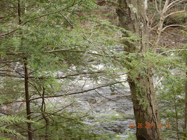 DSCN1947.jpg - As you can see, the Lehigh was pretty fast.                               