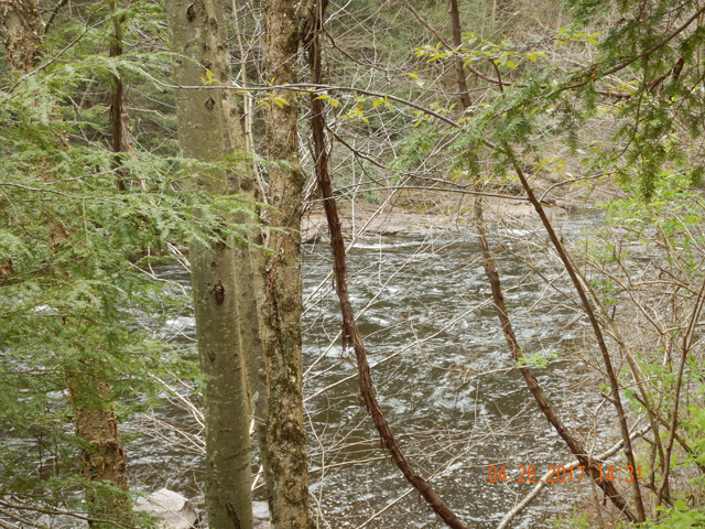 DSCN1948.jpg - Not being familiar with the river in this area kept me on the sidelines.  Didn't want to take a chance while fishing alone.                               