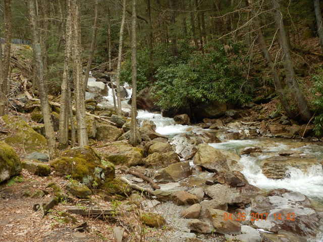 DSCN1950.jpg - Buck Mountain Run.  I did wet a line in this run but didn't get anything.                               
