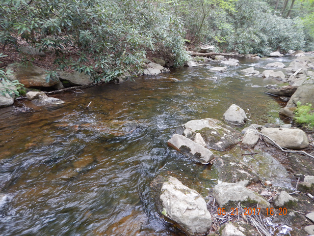 DSCN2066.jpg -                                And here is were he was living.  The water is at a perfect level. 