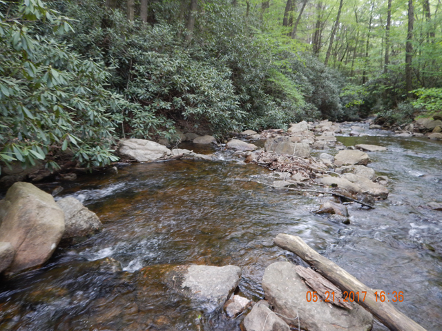 DSCN2068.jpg -                                Can't stop taking pics of the stream...it is just so pretty.