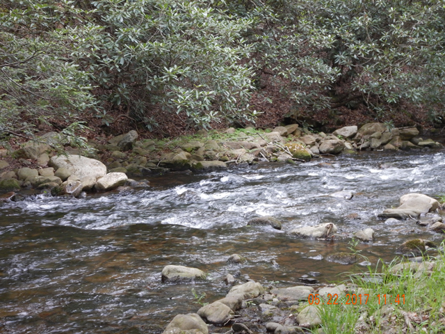DSCN2077.jpg -                                The lower Hickory has fast water too!