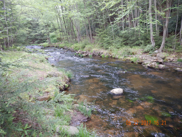 DSCN2086.jpg -                                Another stream pic of the lower Hickory.