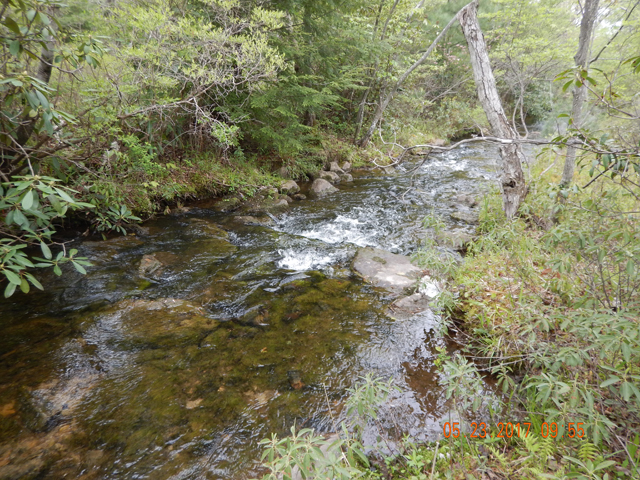DSCN2088.jpg -                                Up stream or down stream it looked like a nice place to be.
