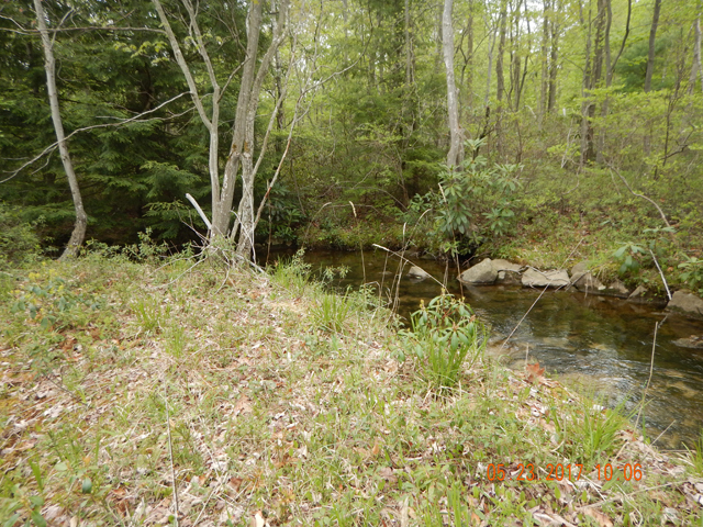 DSCN2090.jpg -                                4th Run continued to look inviting...but don't be fooled.  It didn't stay this way for long.