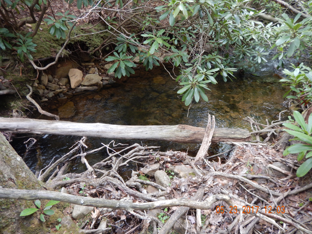DSCN2094.jpg -                                This is a god forsaken piece of stream.  Pictures don't do it justice. Just getting into a position to drop a fly spooks the fish.