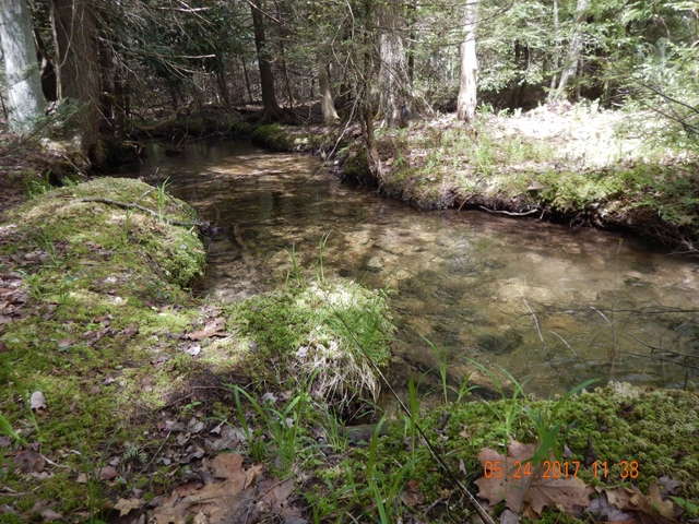 DSCN2103.jpg -                                In this little run I missed about 9 fish.  Granted, they were all small but it was a hoot.