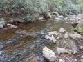 DSCN2066