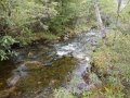 DSCN2088