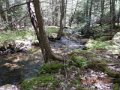 DSCN2105
