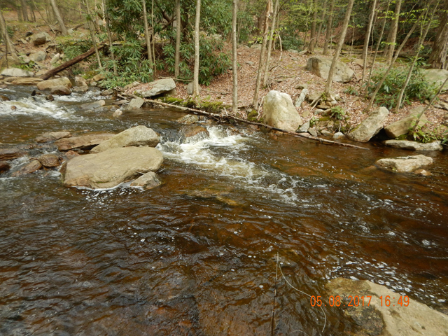 DSCN1976.jpg -                                Just being here is a good feeling, catching fish is the icing on the cake.
