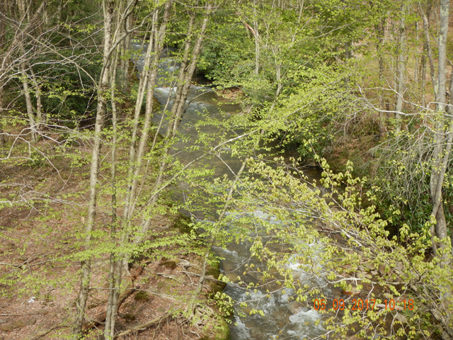DSCN1992.jpg -                                This is Sandy Run.  Boy did it look good...and fishy.  Unfortunately, we didn't get a fish.  An old guy we spoke with after we fished the stream said this location was poluted with sulphur from the "mines".