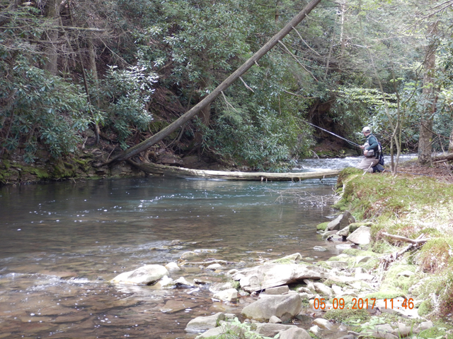 DSCN1995.jpg -                                This place is too beautiful not to hold fish.  The older fellow we spoke with said the stream was on its way back but he didn't think there were many fish here.