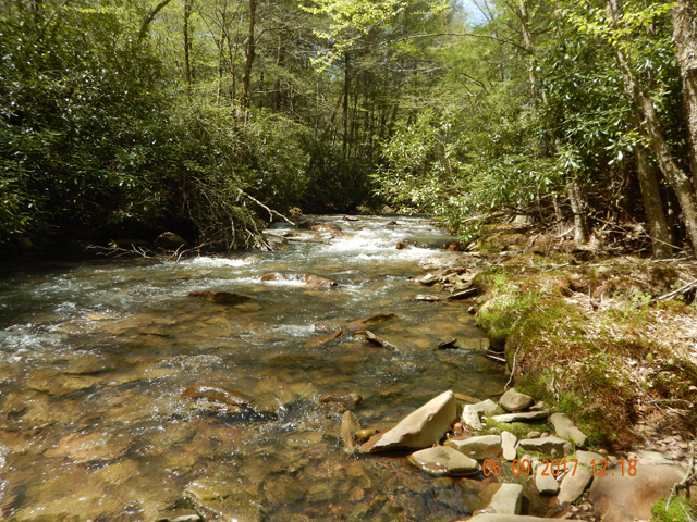DSCN1996.jpg -                                This is a text book brookie stream.