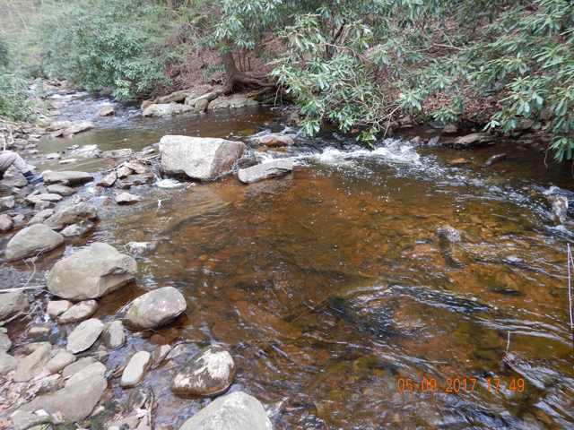 DSCN2009.jpg -                                The water looks good but it was just a little higher than ideal.  We just had a record breaking drop in temps that made it feel more like fall than spring.