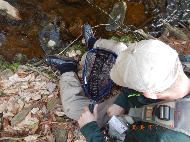 DSCN2013.jpg -                                And that method is productive; especially in broken water where you can get closer to the run.