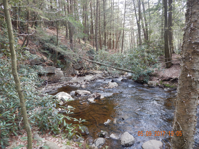 DSCN2019.jpg -                                Longer runs like this one provide a welcome opportunity to get in a real cast.