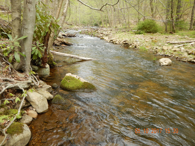 DSCN2038.jpg -                                He was hiding right at the down stream base of the rock.  What an ideal location to catch a fish.