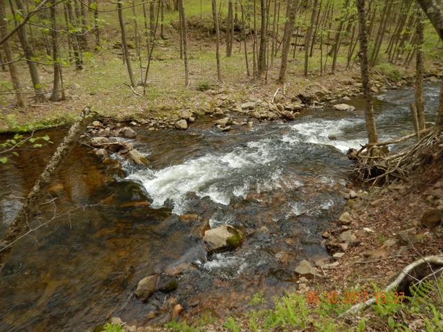 DSCN2039.jpg -                                Just as pretty as the upper Hickory but in a different way.