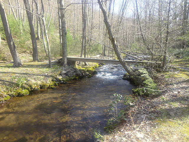 DSC01481.jpg -                                Cherry Run.  All Catch and Release..with a stream this beautiful it should it should really be fly fishing only!