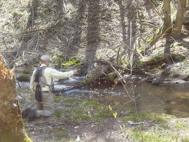 DSC01487.jpg -                                This is the way of the wild trout stream....if you are to be truely successful.