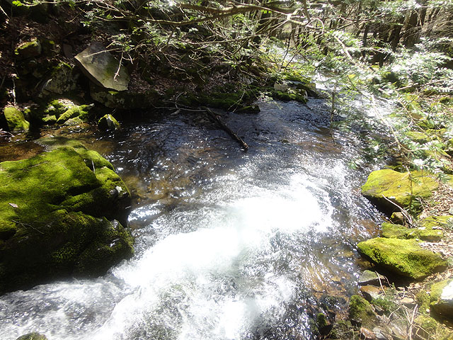 DSC01489.jpg -                                Deep pools were not uncommon..all seemed to have brookies.