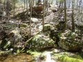 DSC01490