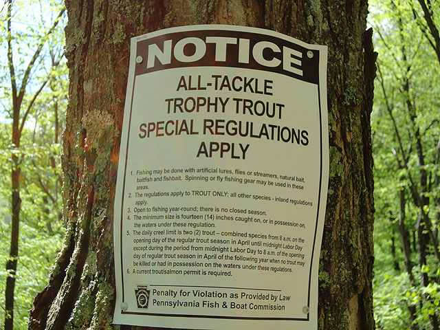 DSC00713.jpg -                                Thought this was FFO but, alas even the worm dunkers can fish here...Drat.