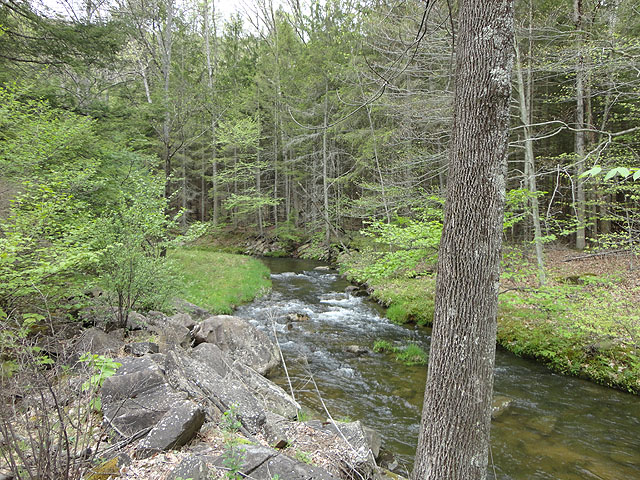 DSC00719.jpg -                                Big Poe Creek.  Not big but some pretty nice runs.