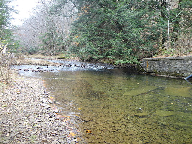 DSC01300.jpg -                                Where a couple of the fish were caught.