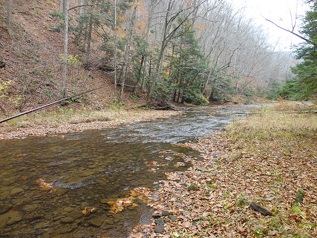 DSC01308.jpg - Water was certainly low but obviously fishable.                               
