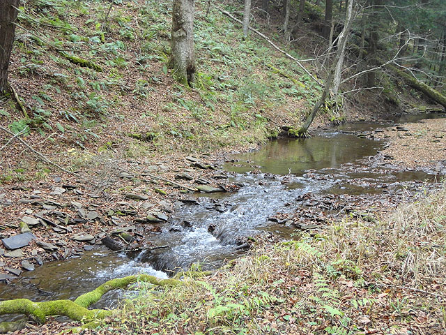 DSC01320.jpg - And this stream was just as scenic as the others.  Maybe more so because of the need for the hike in.                               