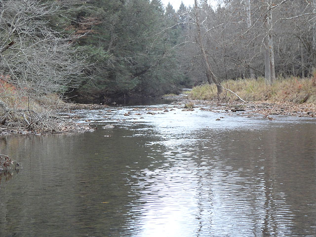 DSC01332.jpg -                                Once again.  What's missing?  Other fishermen...Yep, had the stream to myself once again.  