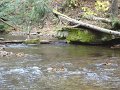 DSC01307