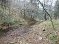 DSC01316