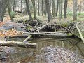 DSC01321