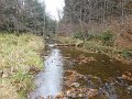 DSC01329