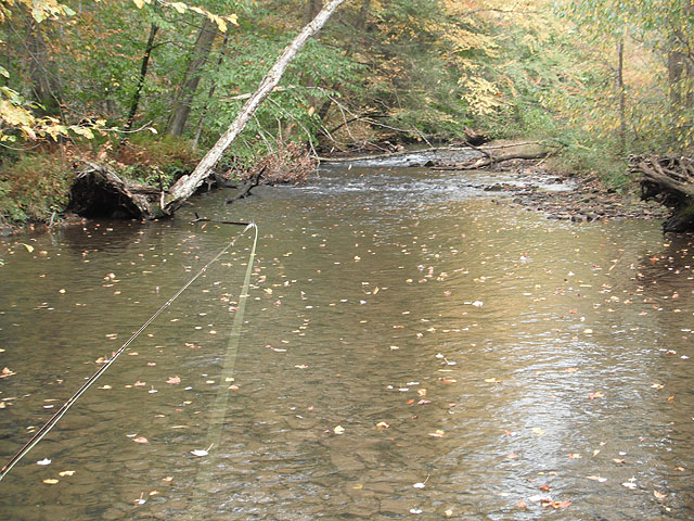 DSCF0273.jpg