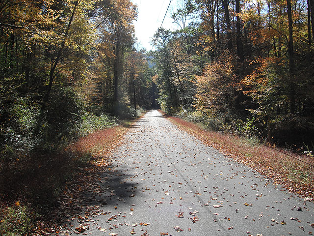 DSCF0281.jpg
