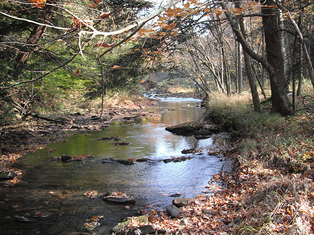 DSCF0285.jpg